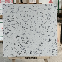 Gạch lát nền Ý Mỹ 80x80 mờ F85005RH