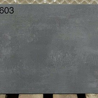 Đá mờ ốp tường Viglacera 300x600 AZ1-GM3603