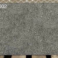 Đá mờ ốp tường Viglacera 300x600 AZ5-GM3602