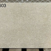 Đá mờ ốp tường Viglacera 300x600 AZ5-GM3603