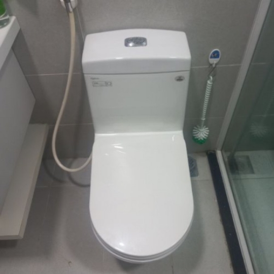 Bồn cầu 1 khối Viglacera V199