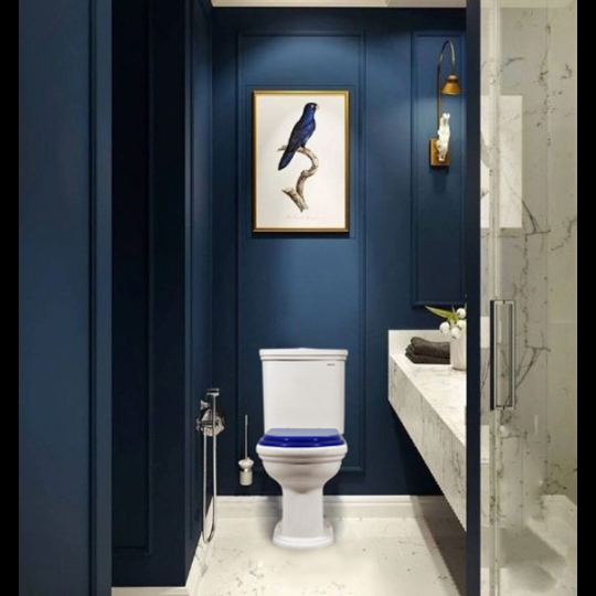 Bồn cầu 2 khối Ceravi C311 (Tặng Lavabo)