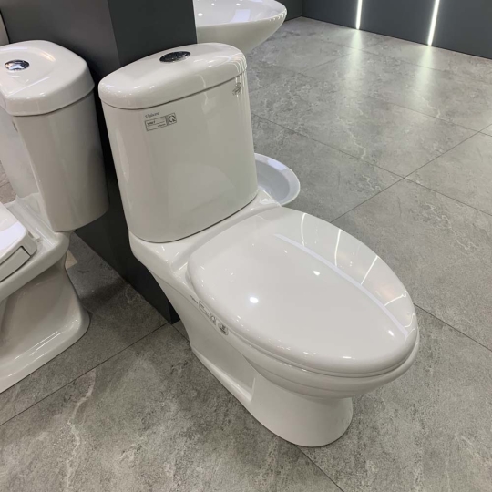 Bồn cầu 2 khối Viglacera VI107