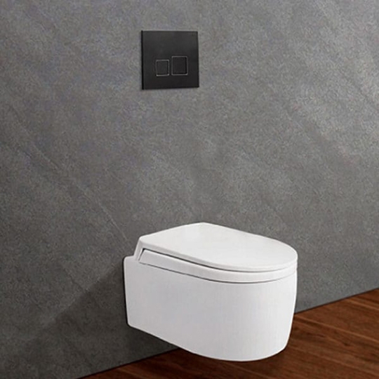 Bồn cầu âm tường Viglacera V55