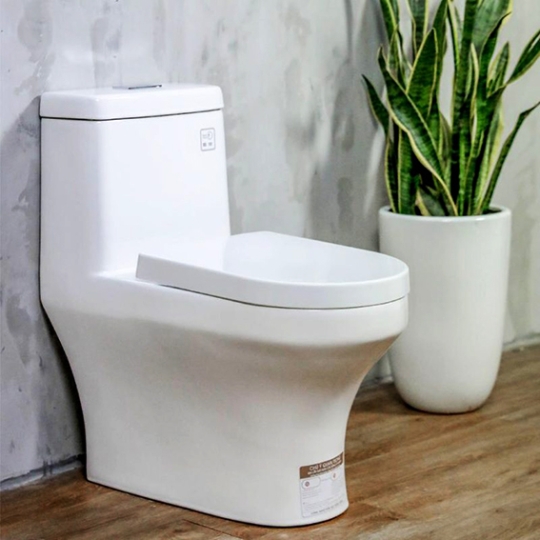 Bồn cầu Basic BS 101