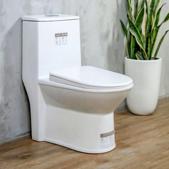 Bồn cầu Basic BS 104