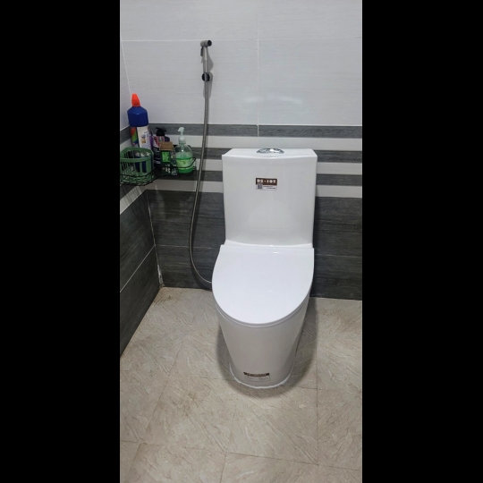 Bồn cầu Basic BS 105 
