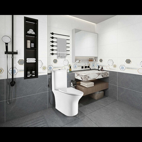 Bồn cầu Basic BS 110 