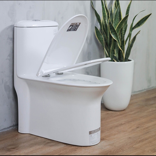 Bồn cầu Basic BSA-120