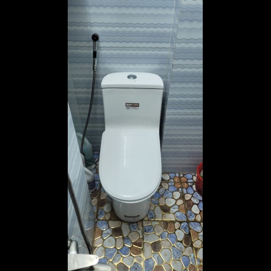 Bồn cầu Basic BSA-121