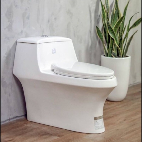 Bồn cầu Basic BSA 123 