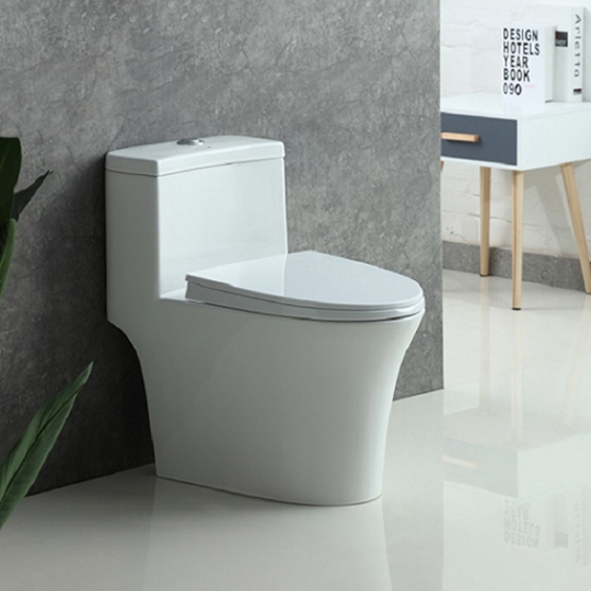 Bồn cầu Basic BSA 124