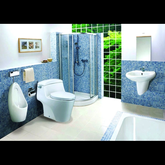 Bồn cầu Caesar C1353 nắp êm
