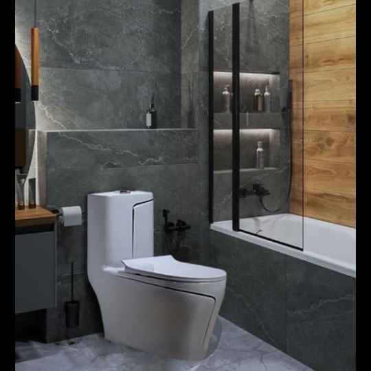 Bồn cầu khối cao cấp BS-8013