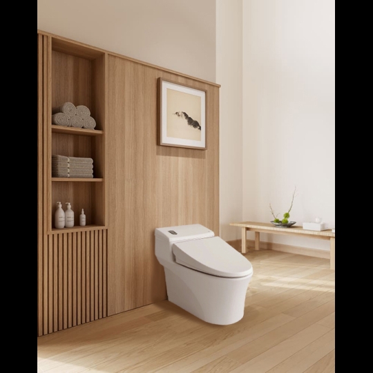 Bồn cầu khối Inax AC-1008VRN