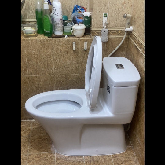 Bồn cầu khối Inax AC-900VRN