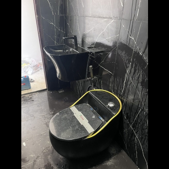 Bồn cầu khối trứng đen viền vàng BS-8019