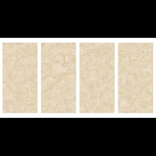 Gạch 60x120 Ấn Độ 3018