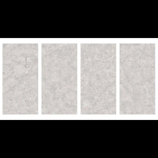 Gạch 60x120 Ấn Độ 3019