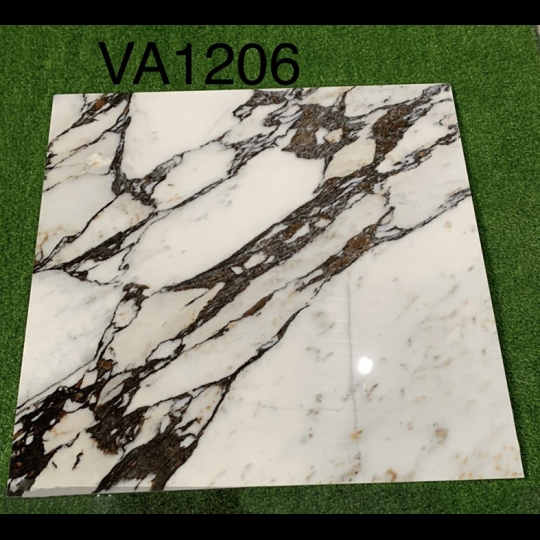 Gạch Ấn Độ 120x120 VA-1206