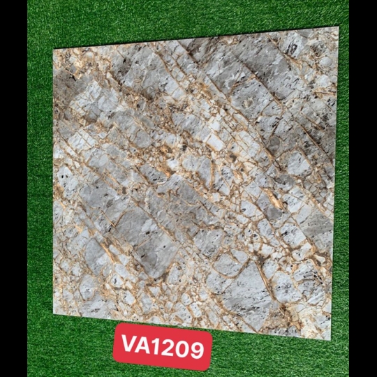 Gạch Ấn Độ 120x120 VA-1209