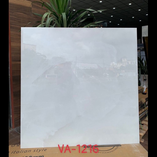 Gạch Ấn Độ 120x120 VA-1216