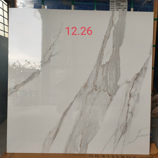 Gạch Ấn Độ 120x120 VA-1226