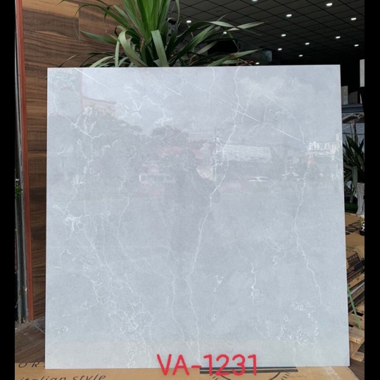 Gạch Ấn Độ 120x120 VA-1231
