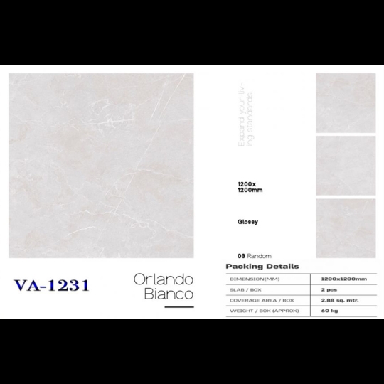 Gạch Ấn Độ 120x120 VA-1231