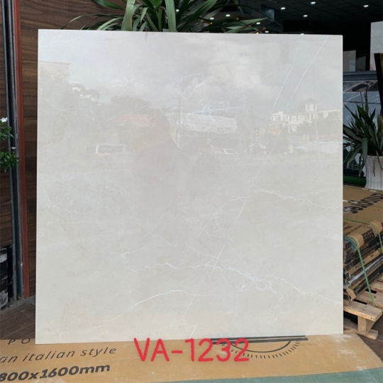 Gạch Ấn Độ 120x120 VA-1232