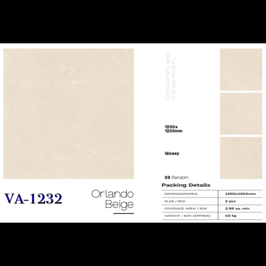 Gạch Ấn Độ 120x120 VA-1232
