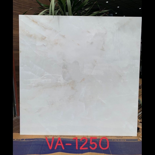 Gạch Ấn Độ 120x120 VA-1250