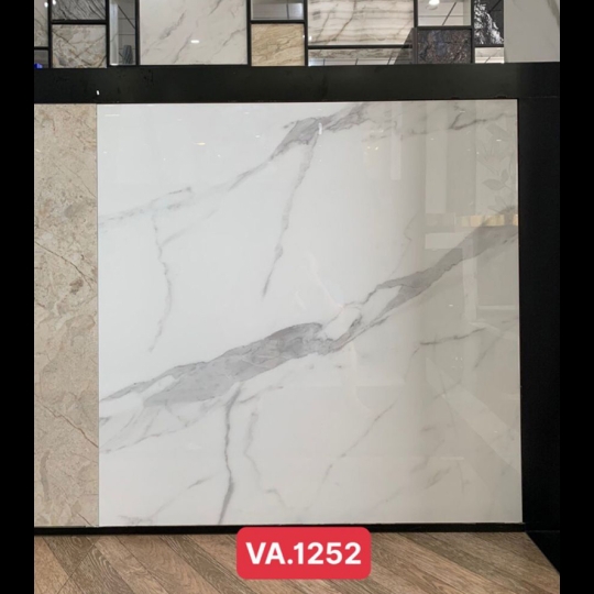 Gạch Ấn Độ 120x120 VA-1252