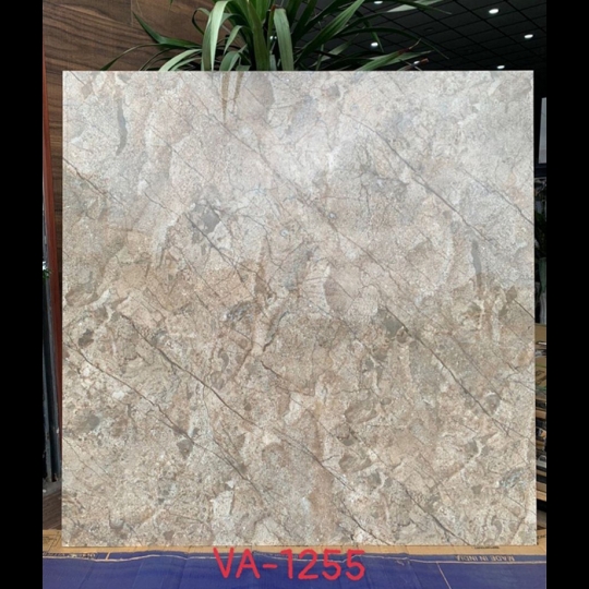Gạch lát nền Ấn Độ 120x120 VA-1255