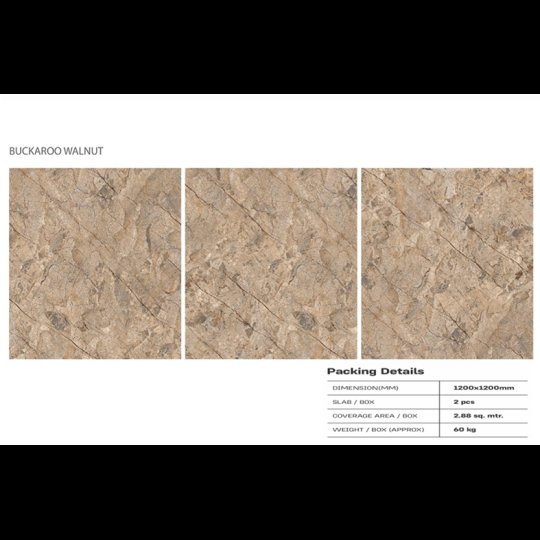Gạch lát nền Ấn Độ 120x120 VA-1255