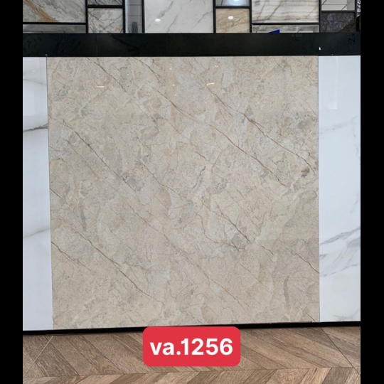 Gạch Ấn Độ 120x120 VA-1256