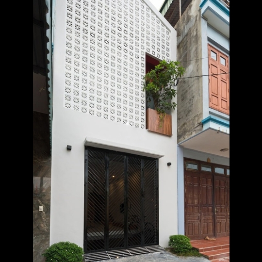 Gạch bông gió 4 chiếc lá