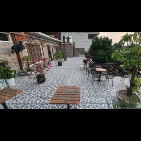 Gạch bông men 30x30 HA303