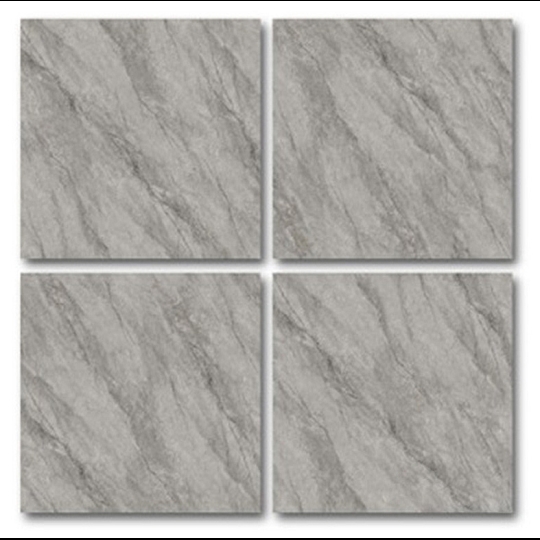 Gạch lát nền Catalan 100x100 10016