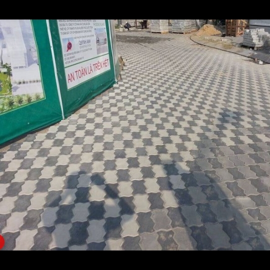 Gạch con sâu lát vỉa hè 
