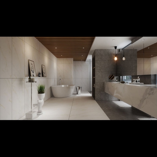 Gạch Đồng Tâm mờ 60120NILE003