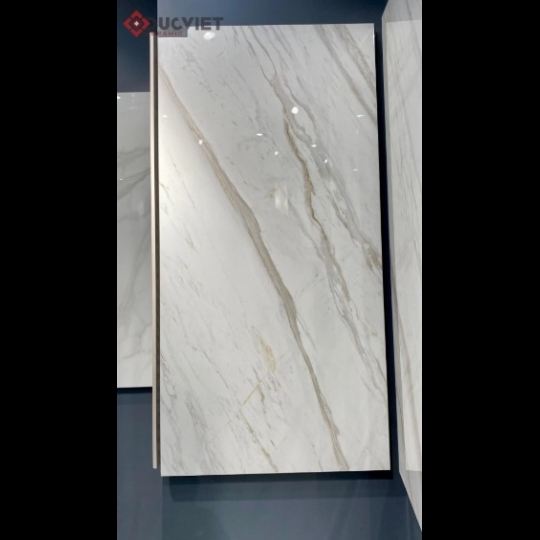Gạch Eurotile 60x120 SIG P61201