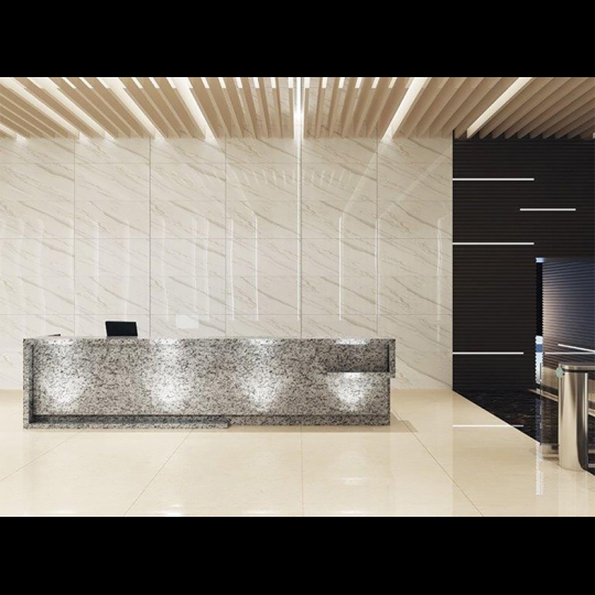 Gạch Eurotile 60x120 SIG P61201