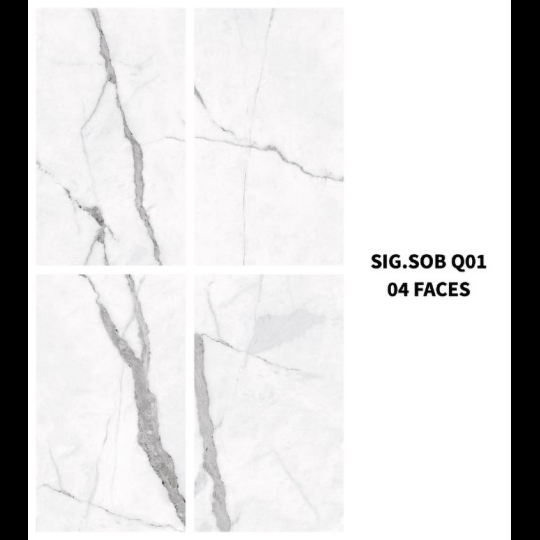 Gạch Eurotile 60x120 SIG-SOB-Q01