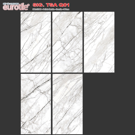 Gạch Eurotile 60x120 SIG-TSA-Q01