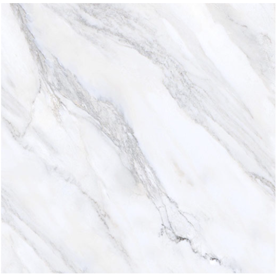 Gạch Hoàn Mỹ 100x100 vi tinh 55002