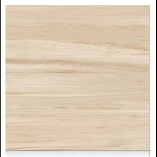 Gạch Hoàn Mỹ 100x100 vi tinh 55004