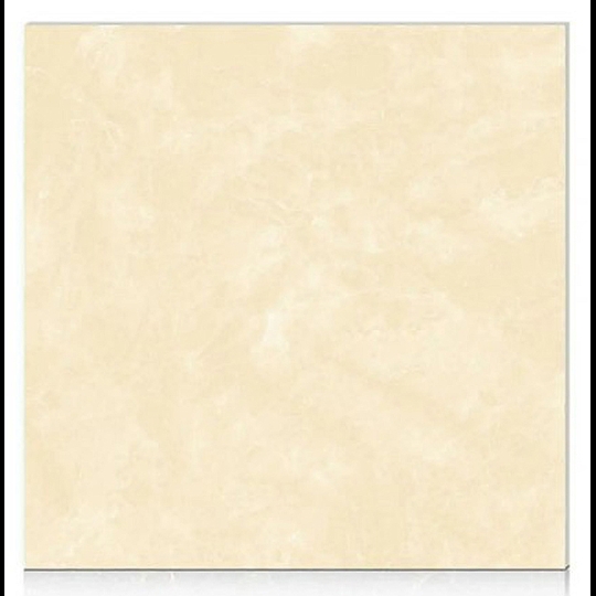 Gạch Hoàn Mỹ 100x100 vi tinh 55005