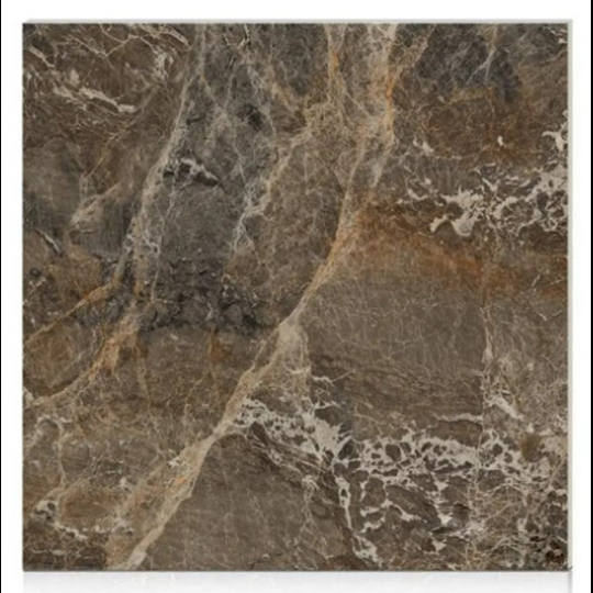 Gạch Hoàn Mỹ 100x100 vi tinh 55007