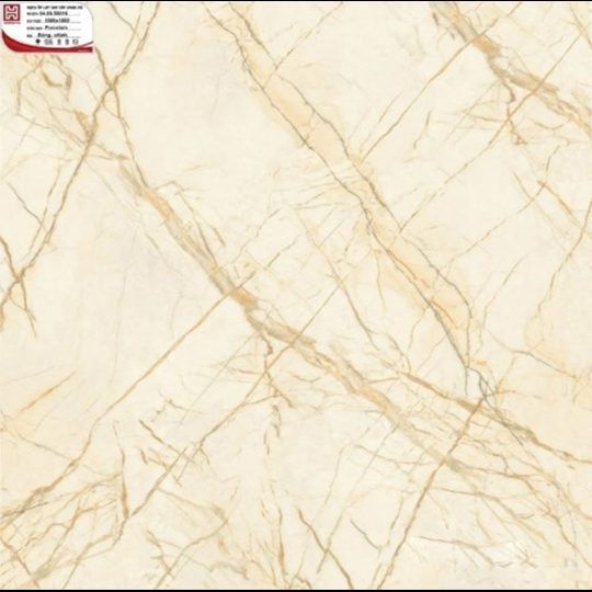 Gạch Hoàn Mỹ 100x100 vi tinh 55016